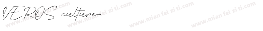 VEROS culture字体转换